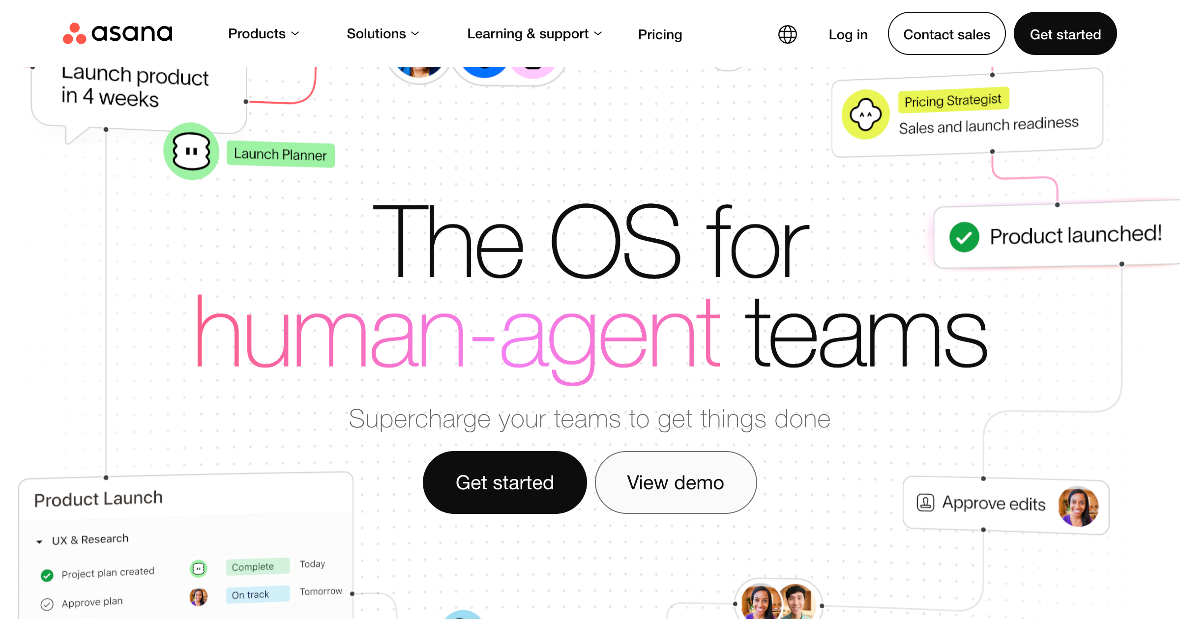 Asana interface screenshot