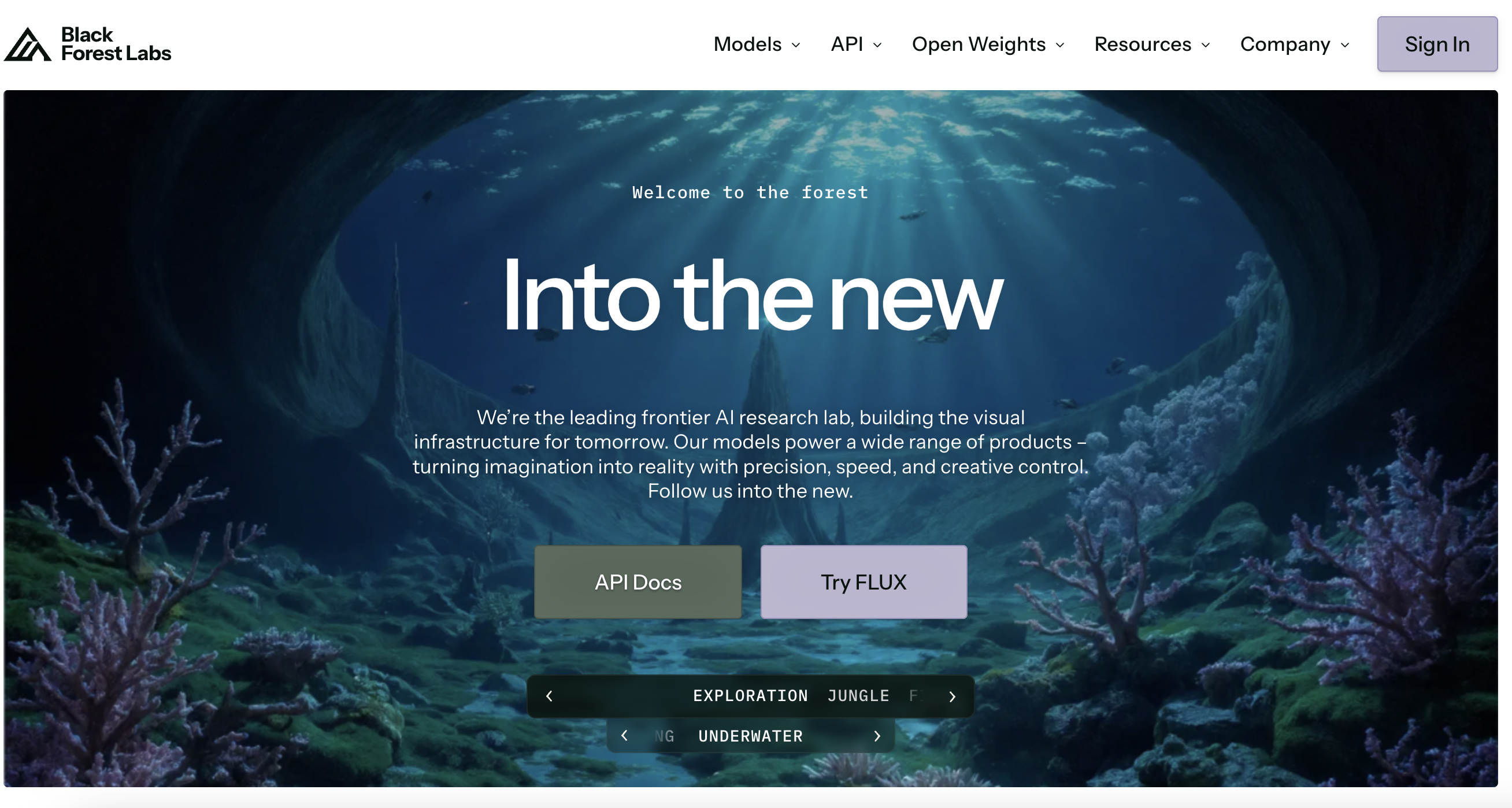 FLUX interface screenshot