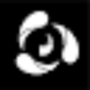 Rodin logo